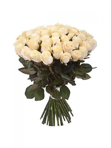 Заказать 41 кремовую розу с доставкой по Иваново